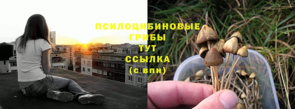 ECSTASY Аркадак