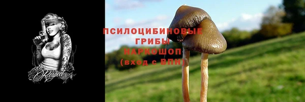 a pvp Арсеньев