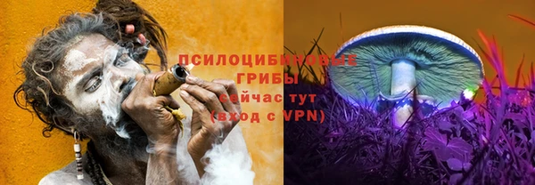apvp Кинешма