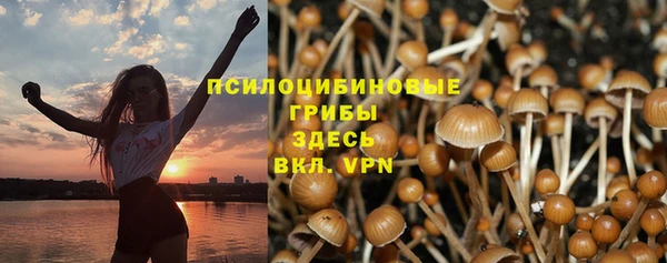 a pvp Арсеньев