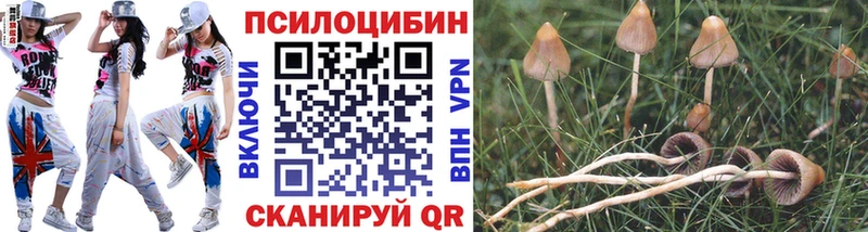 Галлюциногенные грибы Cubensis цена наркотик Сосновка